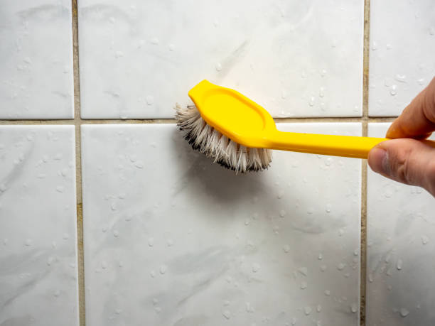 Best Mold Testing  in Cottage Lake, WA