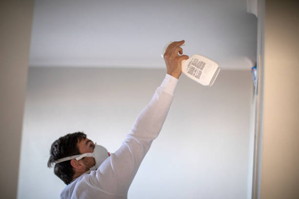 Best Mold Damage Repair  in Cottage Lake, WA