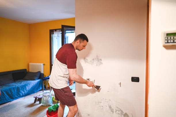 Best Emergency Mold Removal  in Cottage Lake, WA